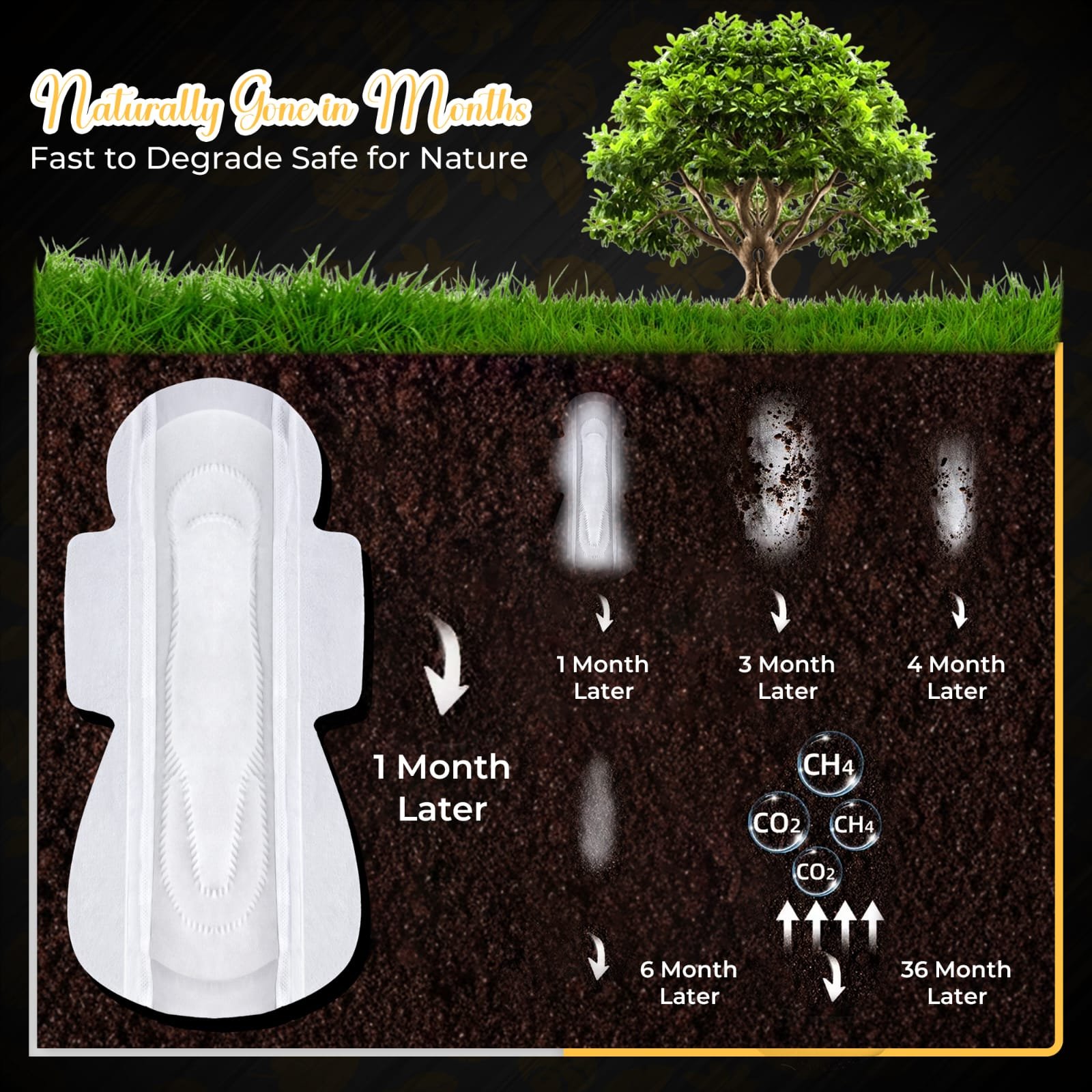 VM89 Day Use Protection